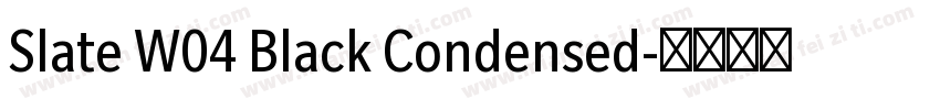 Slate W04 Black Condensed字体转换
